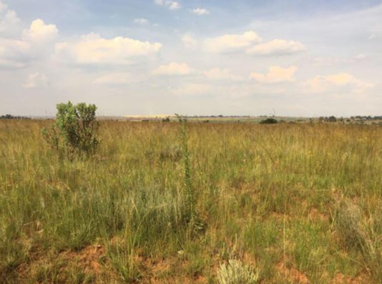 Prime 48-Acre Land for Sale in Isinya, Kajiado County