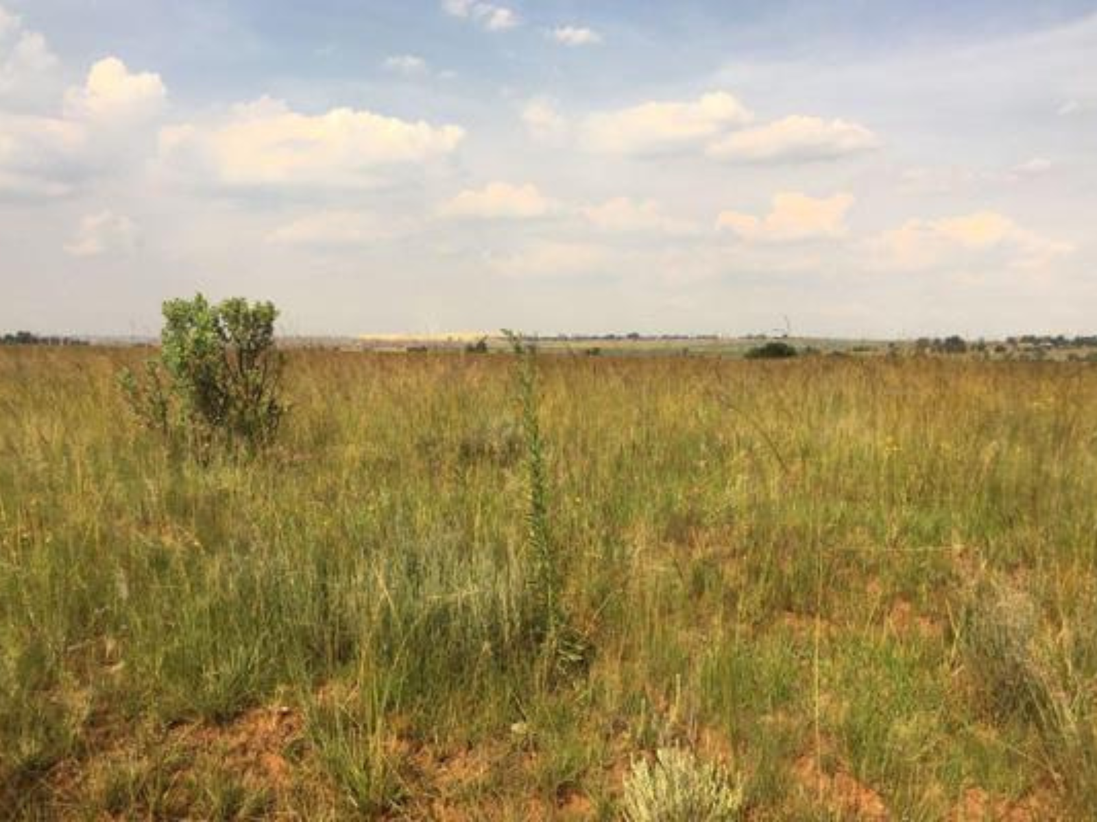 Prime 48-Acre Land for Sale in Isinya, Kajiado County