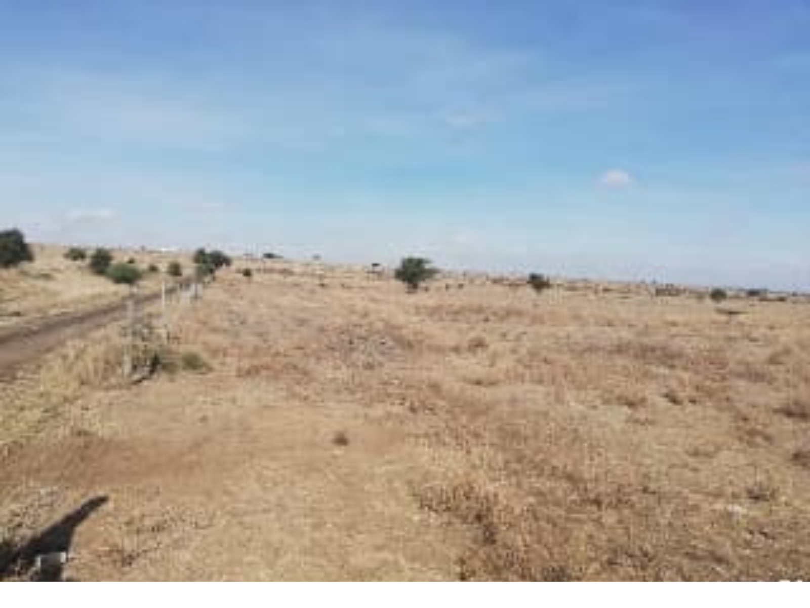 Prime 48-Acre Land for Sale in Isinya, Kajiado County