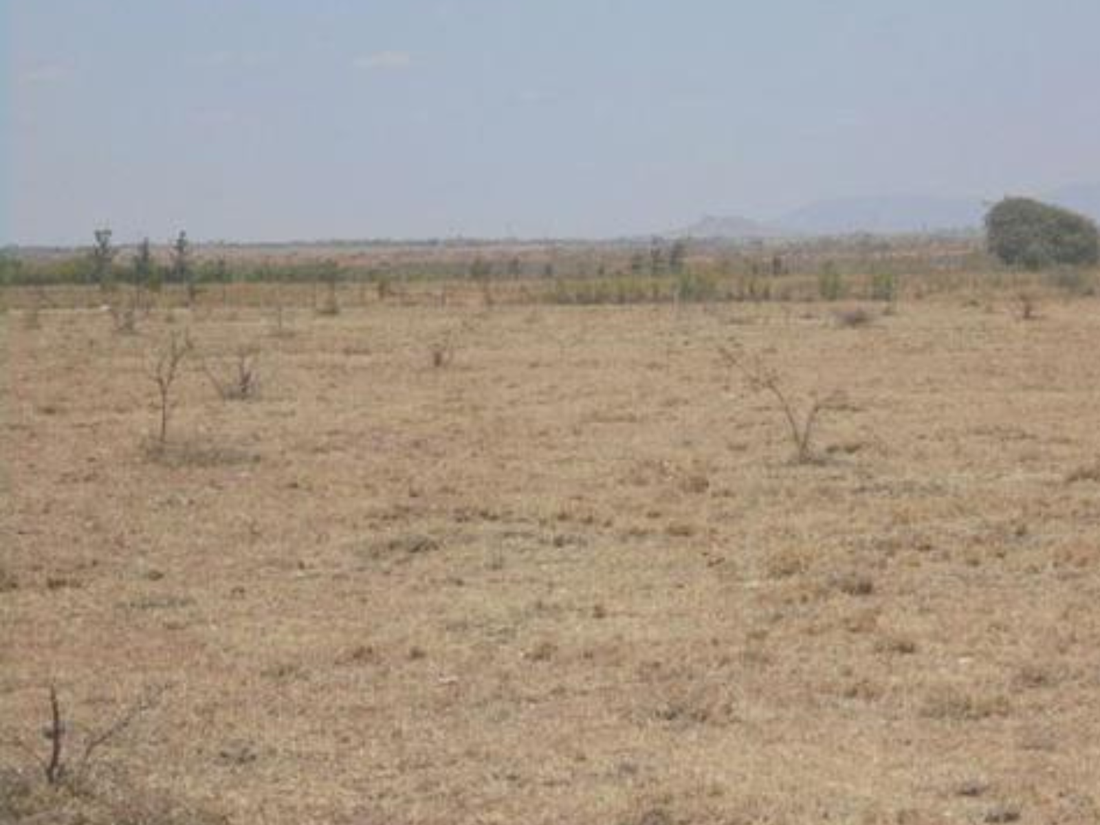 Prime 48-Acre Land for Sale in Isinya, Kajiado County