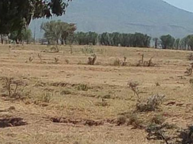 Prime 48-Acre Land for Sale in Isinya, Kajiado County