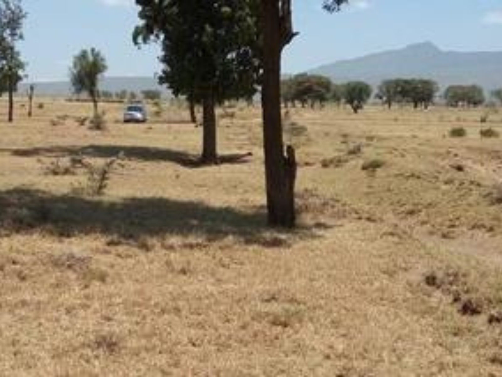 Prime 48-Acre Land for Sale in Isinya, Kajiado County