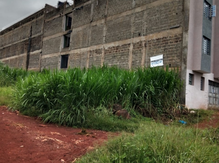 Prime Plots for Sale Near Thika Institute of Business Studies (TiBS)