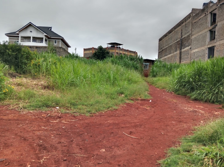 Prime Plots for Sale Near Thika Institute of Business Studies (TiBS)