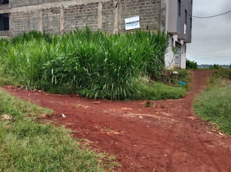 Prime Plots for Sale Near Thika Institute of Business Studies (TiBS)