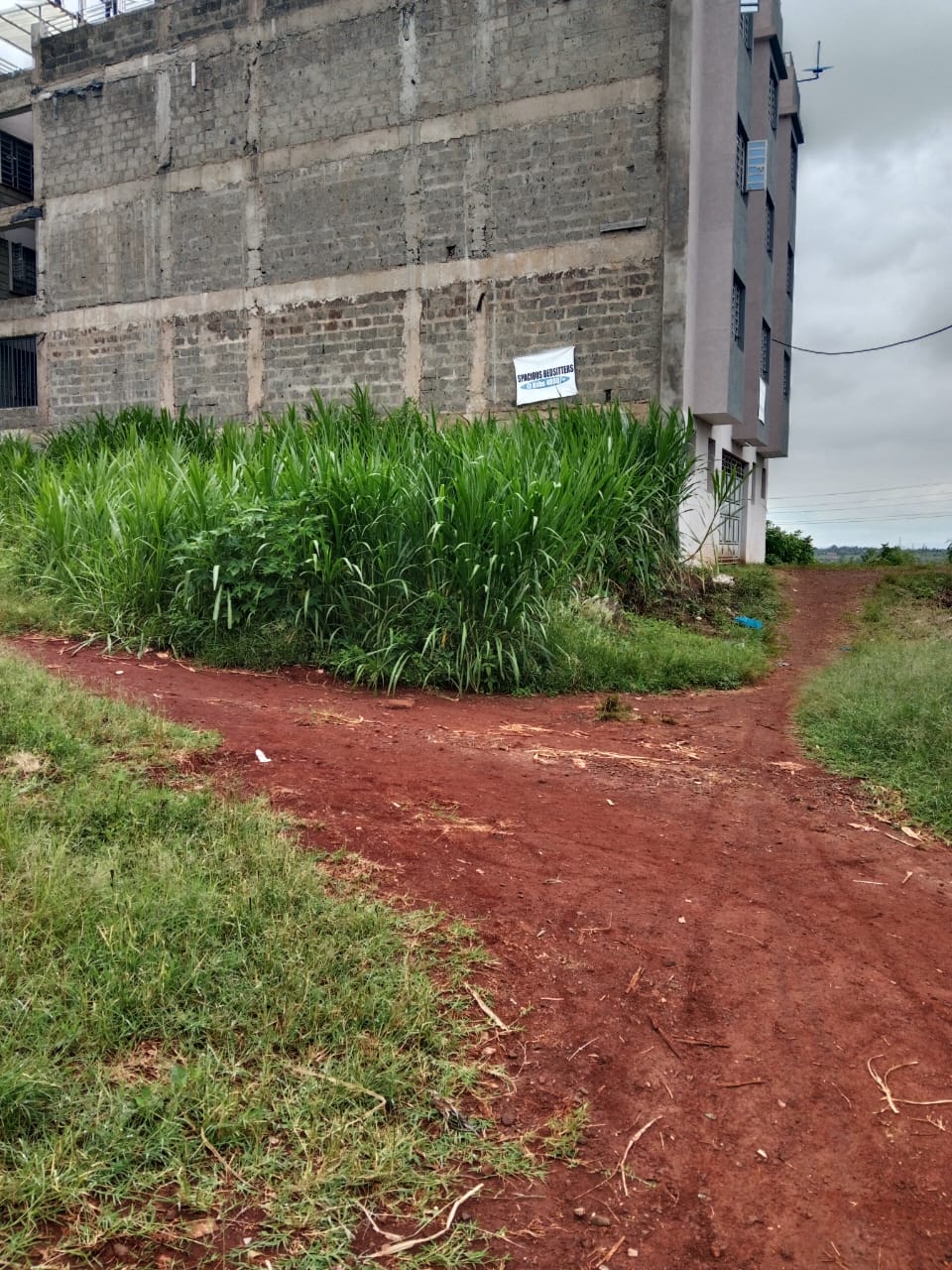 Prime Plots for Sale Near Thika Institute of Business Studies (TiBS)