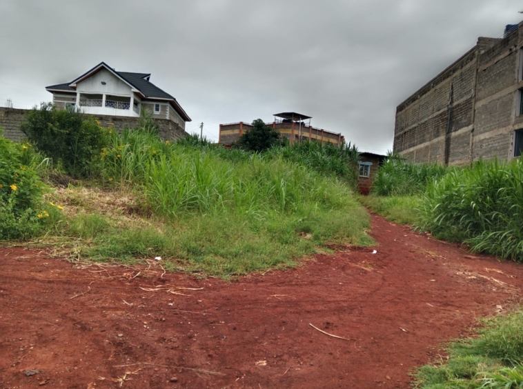 Prime Plots for Sale Near Thika Institute of Business Studies (TiBS)