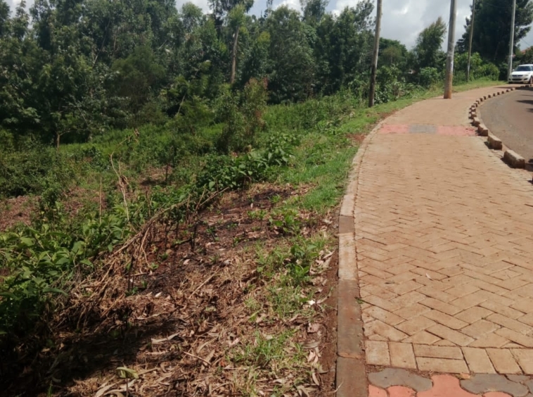 Prime Plot for Sale: Dagoretti-Thogoto, Touching Muhuti Rd