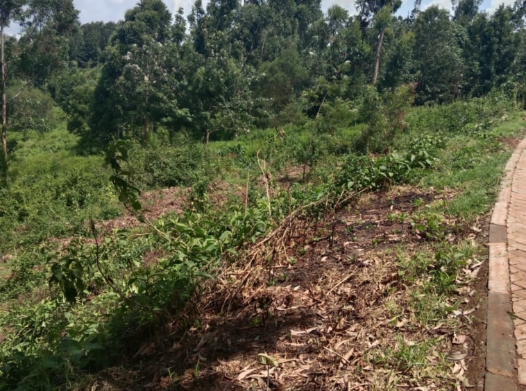 Prime Plot for Sale: Dagoretti-Thogoto, Touching Muhuti Rd