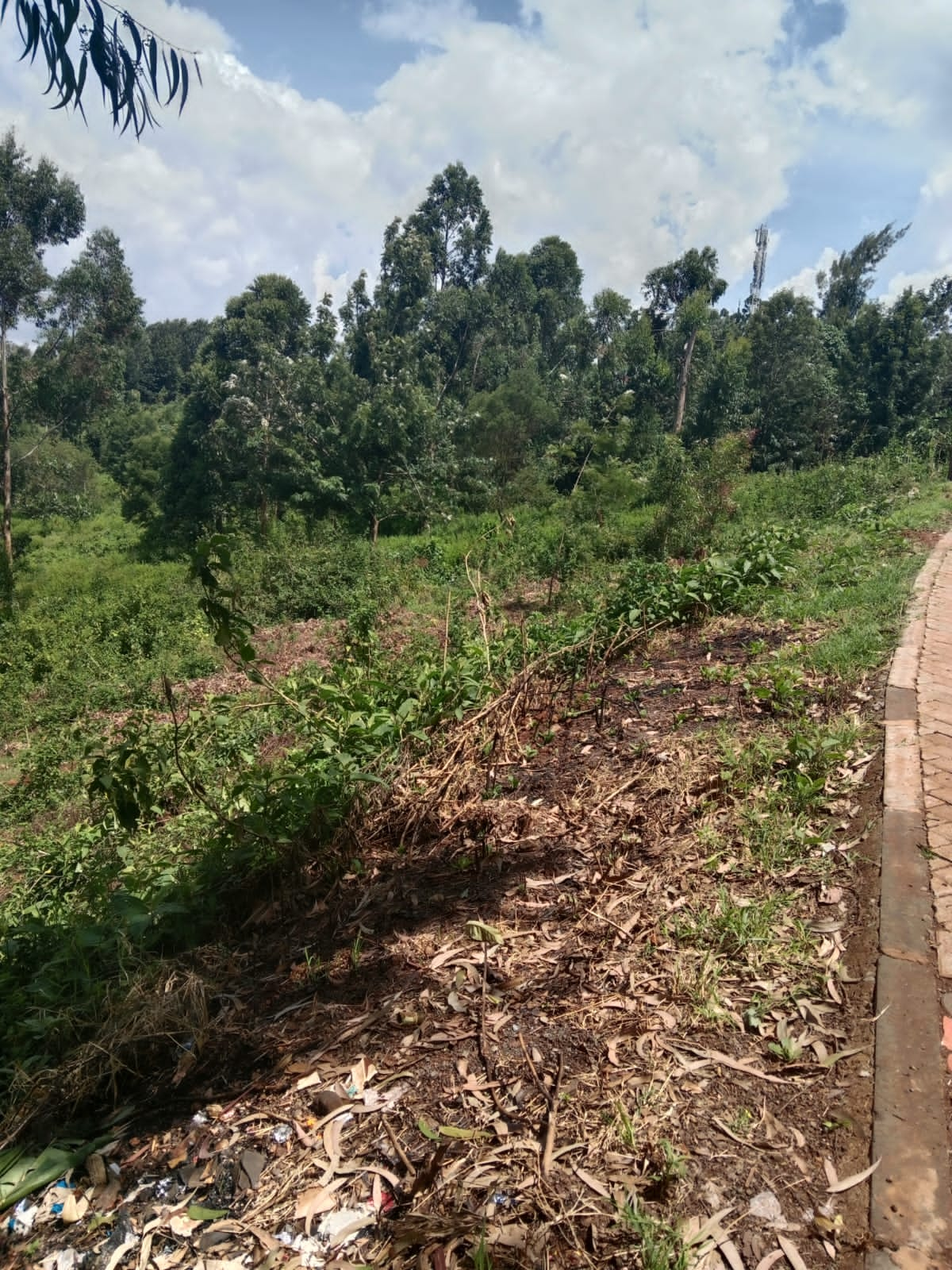 Prime Plot for Sale: Dagoretti-Thogoto, Touching Muhuti Rd