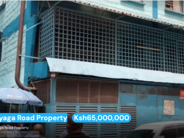 Kirinyaga Road Property