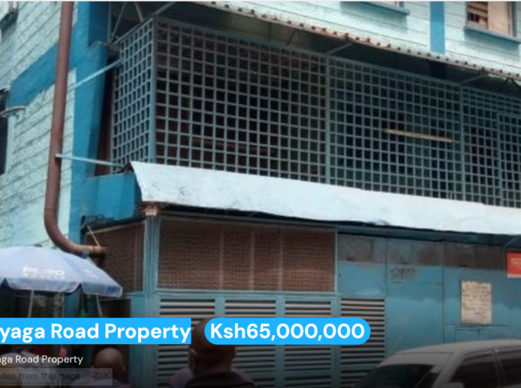 Kirinyaga Road Property