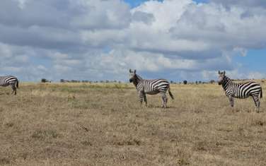 5 acre plots in Manzoni, Machakos