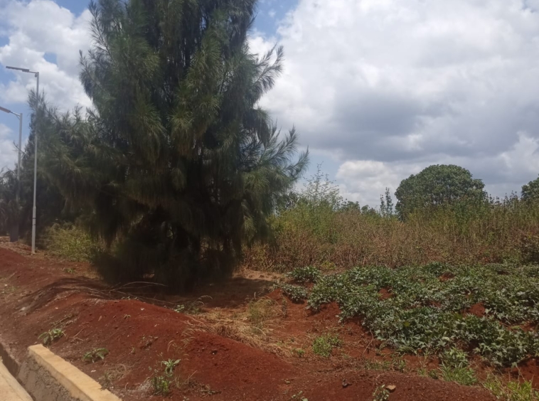 City within a City Gated Community Amani Ridge-Place of Peace Plot for Sale