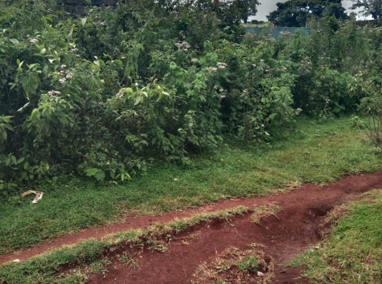 Prime Plot of Land for Sale: Touching Limuru - Nakuru Road