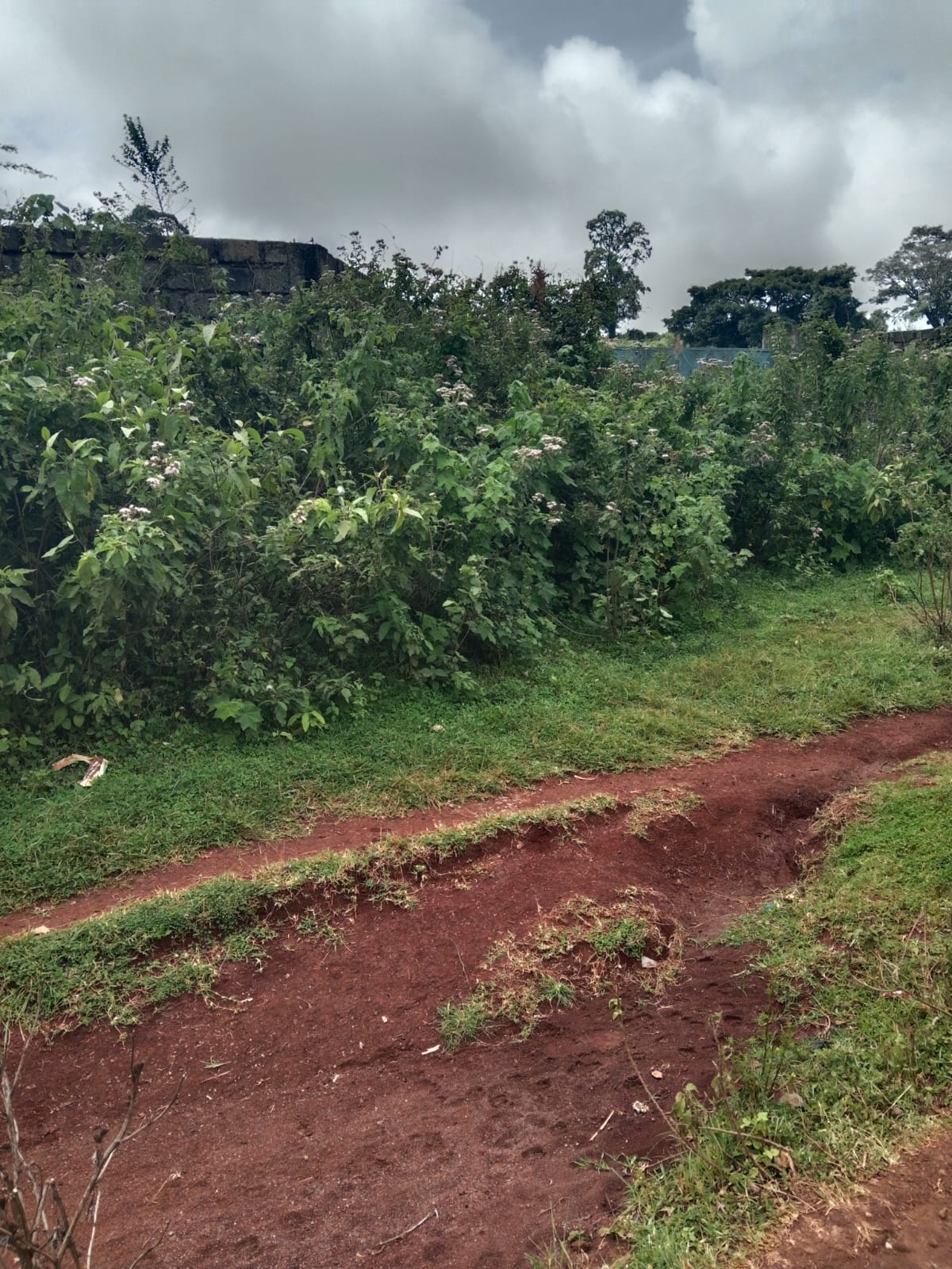 Prime Plot of Land for Sale: Touching Limuru - Nakuru Road