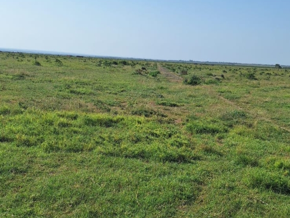 Land for Sale in Zambezi: Opposite Sigona Golf Club