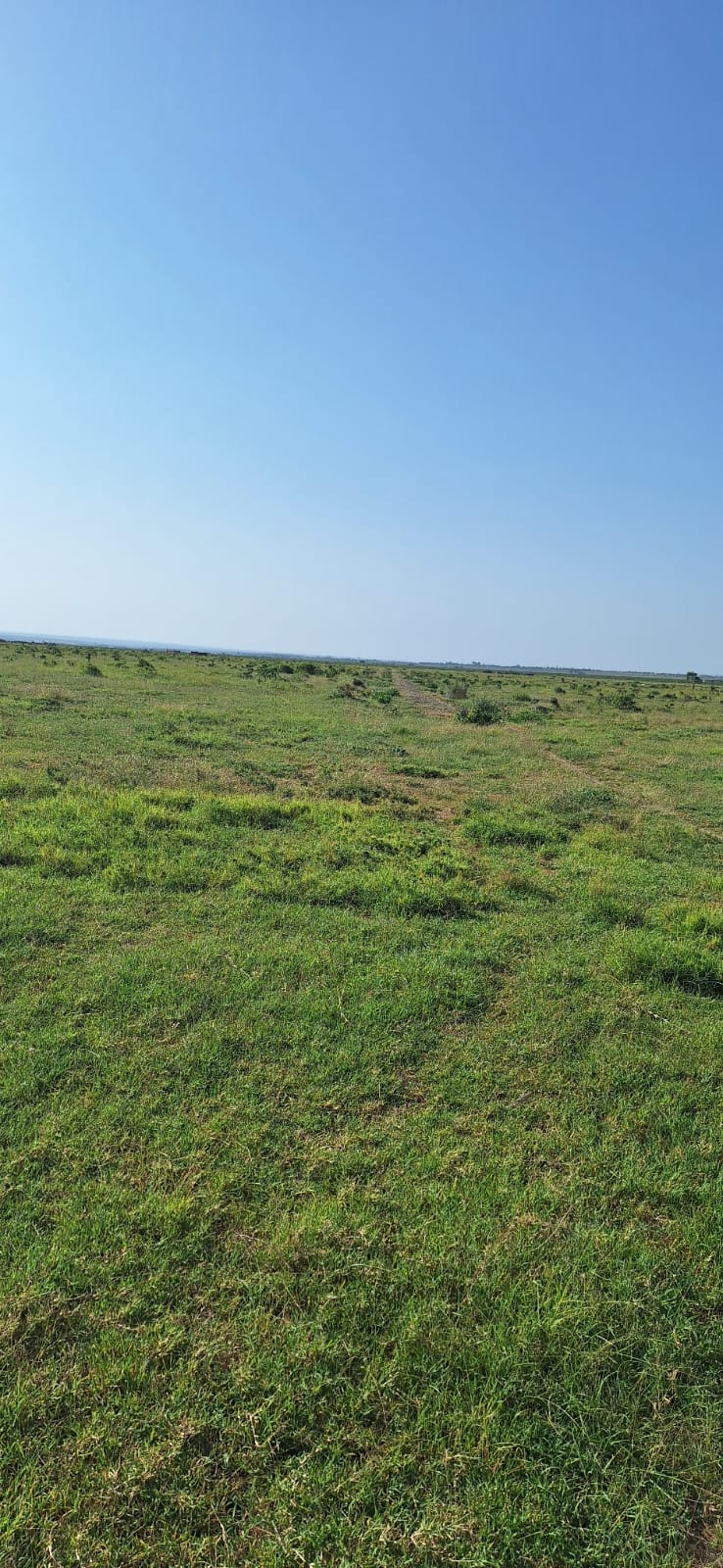 Land for Sale in Zambezi: Opposite Sigona Golf Club