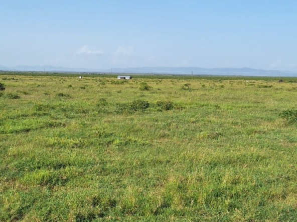 Land for Sale in Zambezi: Opposite Sigona Golf Club