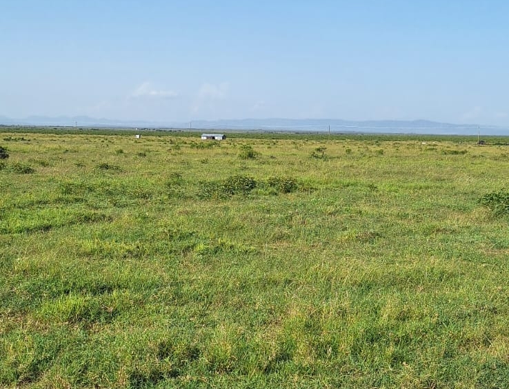 Land for Sale in Zambezi: Opposite Sigona Golf Club