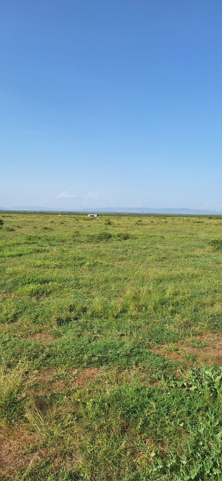 Land for Sale in Zambezi: Opposite Sigona Golf Club