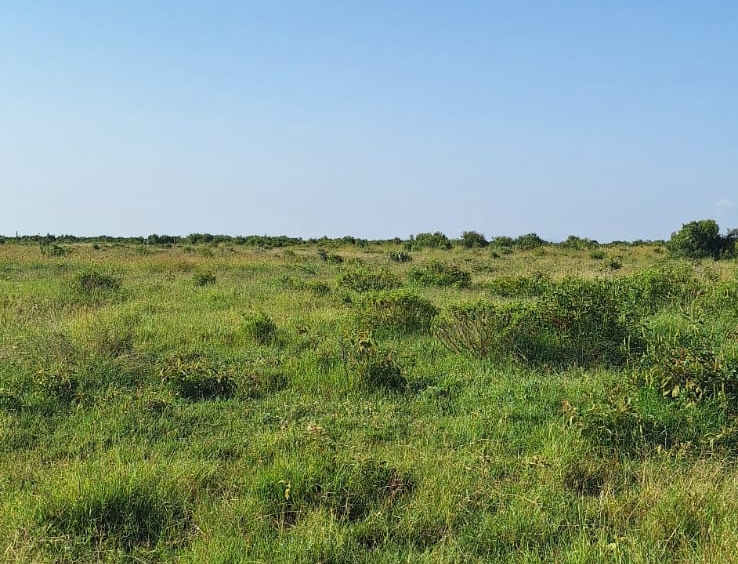 Land for Sale in Zambezi: Opposite Sigona Golf Club