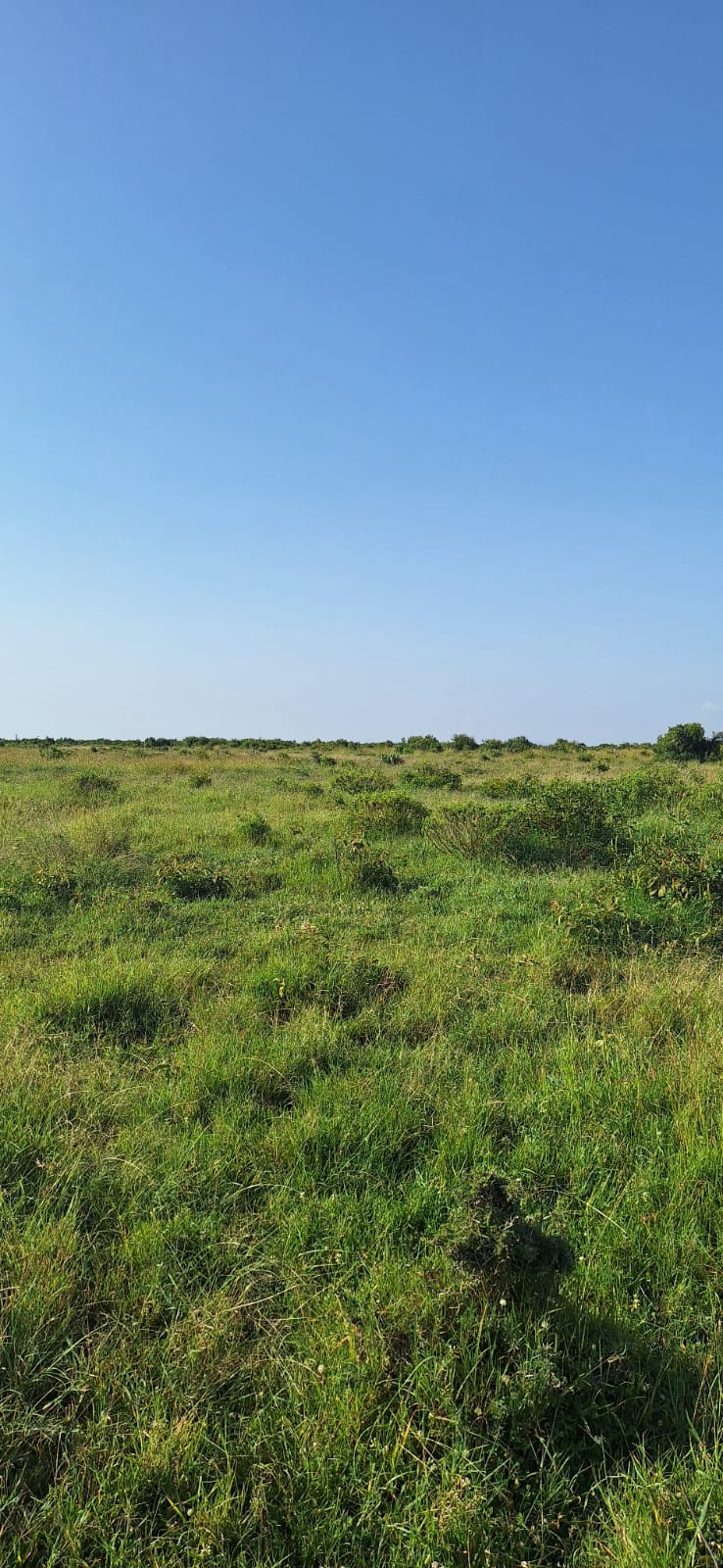 Land for Sale in Zambezi: Opposite Sigona Golf Club