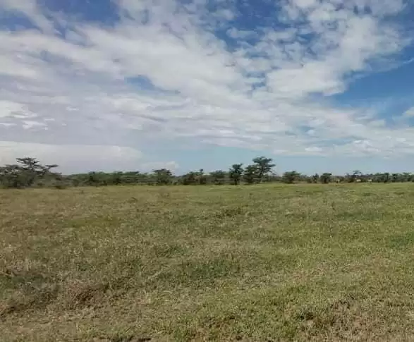 Prime Land for Sale in Marura Area, Nanyuki Township