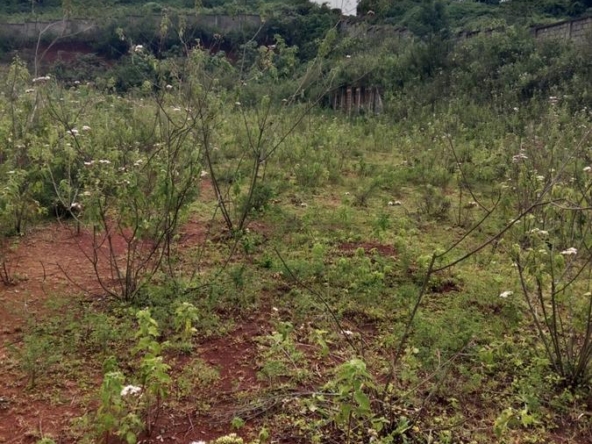 Roadside plot for sale in Naivasha
