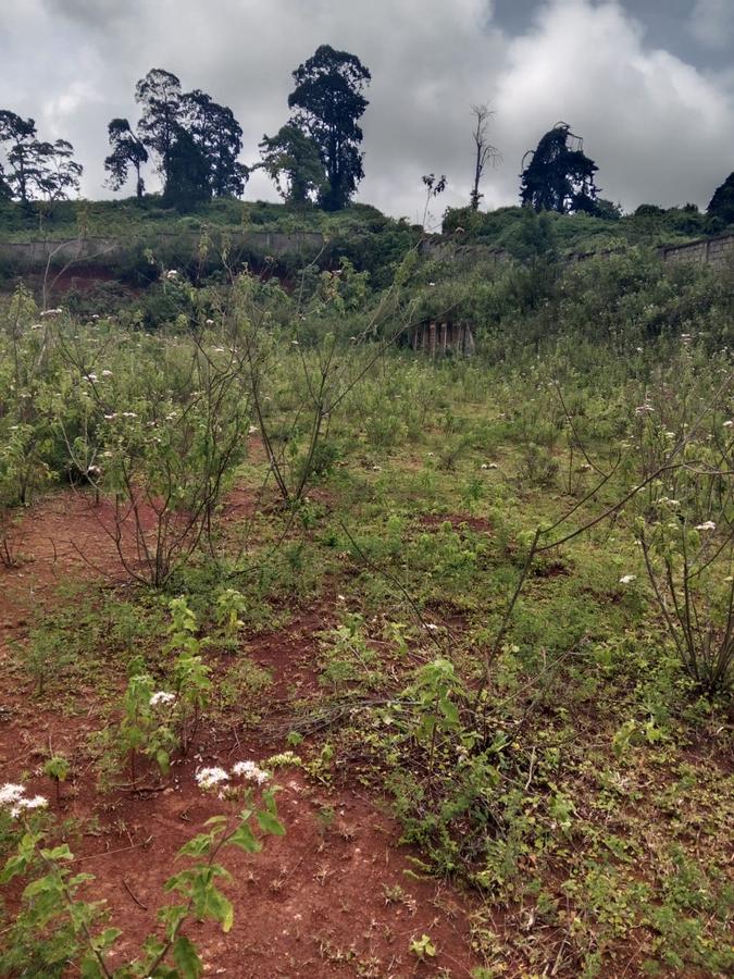 Roadside plot for sale in Naivasha