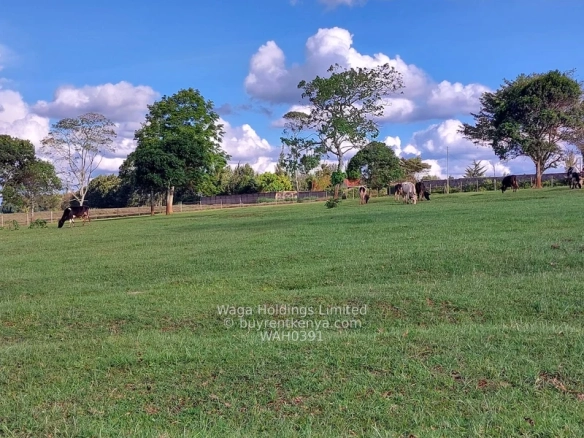 Parcel of Land for Sale – Cianda, Kiambu County (21 Acres @ Ksh. 23M per Acre) — photo 1