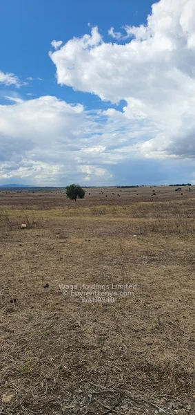 58 Acres for Sale – Prime Investment Land Near Isinya — photo 2 58 Acres for Sale – Prime Investment Land Near Isinya — photo 2