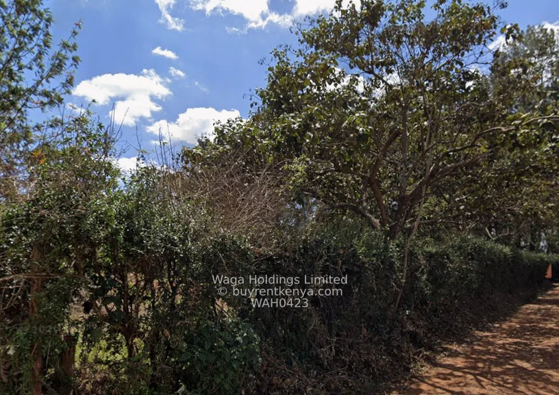Acre Plot for Sale | Gatitu Town, Nyeri County — photo 3