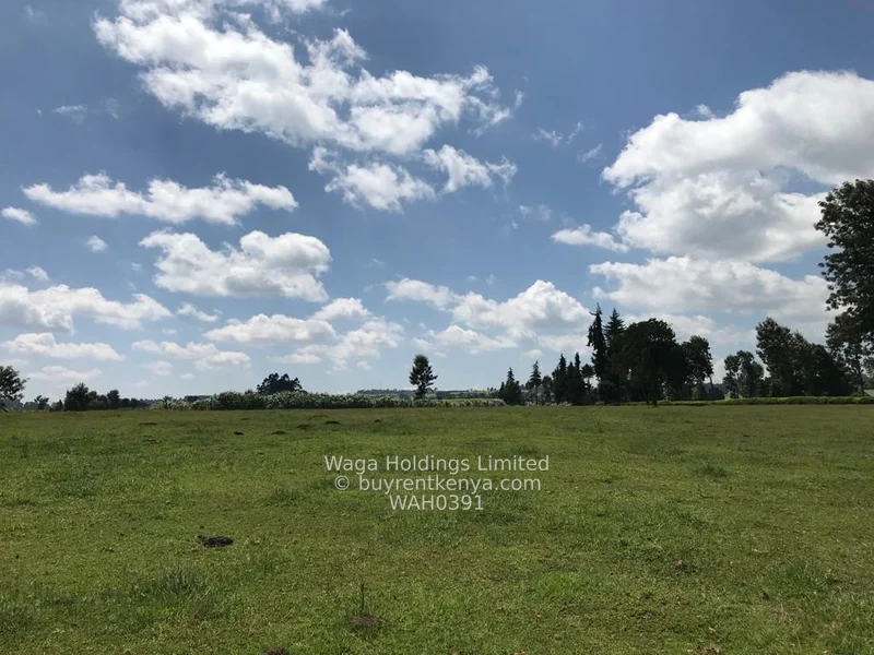 Parcel of Land for Sale – Cianda, Kiambu County (21 Acres @ Ksh. 23M per Acre) — photo 4 Parcel of Land for Sale – Cianda, Kiambu County (21 Acres @ Ksh. 23M per Acre) — photo 4