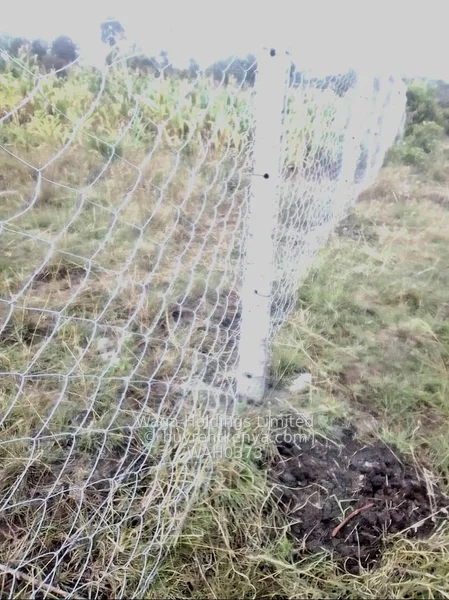 Plots for Sale – Nanyuki, Marura-Nturukuma — photo 2