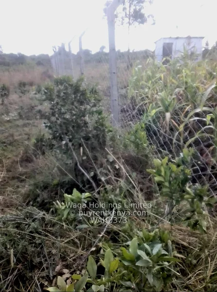 Plots for Sale – Nanyuki, Marura-Nturukuma — photo 3
