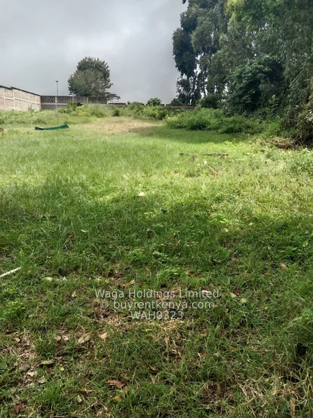 3.75 Acre Plot For Sale — photo 3 3.75 Acre Plot For Sale — photo 3