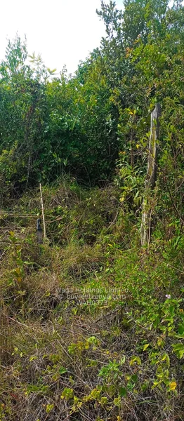 Plots for Sale – Nanyuki, Marura-Nturukuma — photo 7