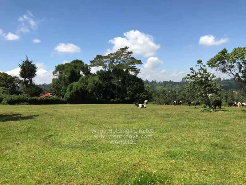 Parcel of Land for Sale – Cianda, Kiambu County (21 Acres @ Ksh. 23M per Acre) — photo 3 Parcel of Land for Sale – Cianda, Kiambu County (21 Acres @ Ksh. 23M per Acre) — photo 3