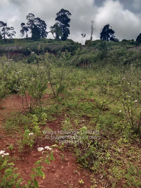 Plot for Sale – Naivasha-Nakuru Road — photo 2 Plot for Sale – Naivasha-Nakuru Road — photo 2