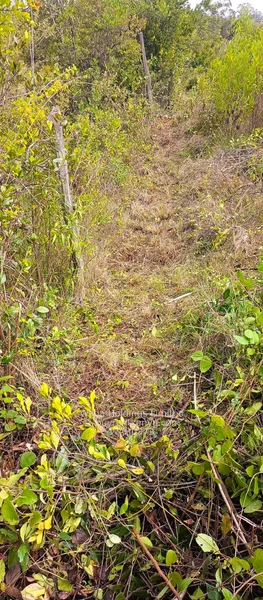 Plots for Sale – Nanyuki, Marura-Nturukuma — photo 5