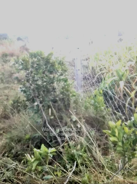 Plots for Sale – Nanyuki, Marura-Nturukuma — photo 4